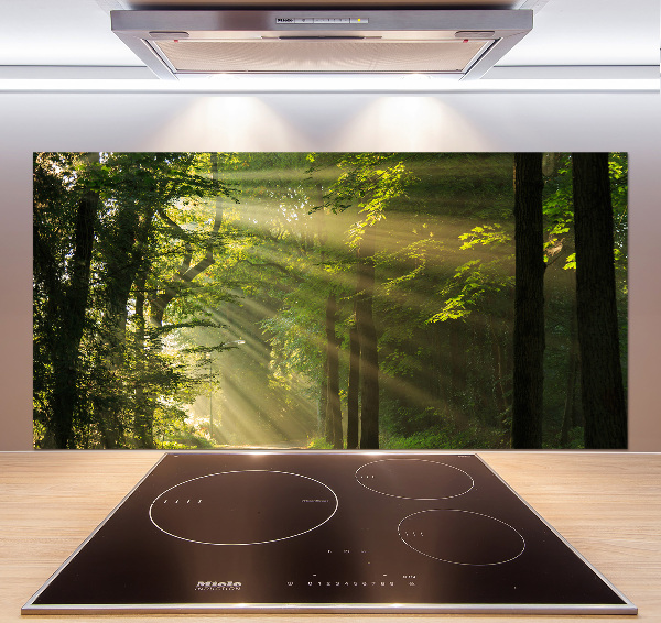 Keuken achterwand Bos in de zon