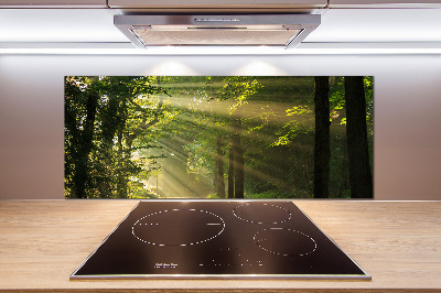 Keuken achterwand Bos in de zon