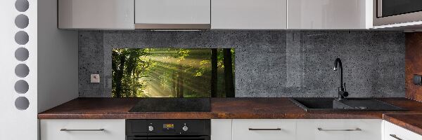 Keuken achterwand Bos in de zon