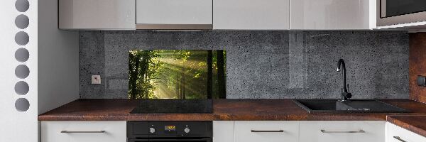 Keuken achterwand Bos in de zon