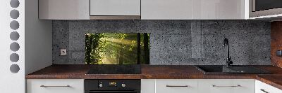 Keuken achterwand Bos in de zon
