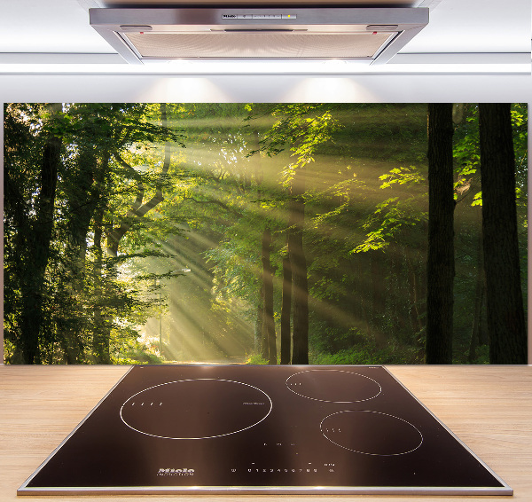 Keuken achterwand Bos in de zon