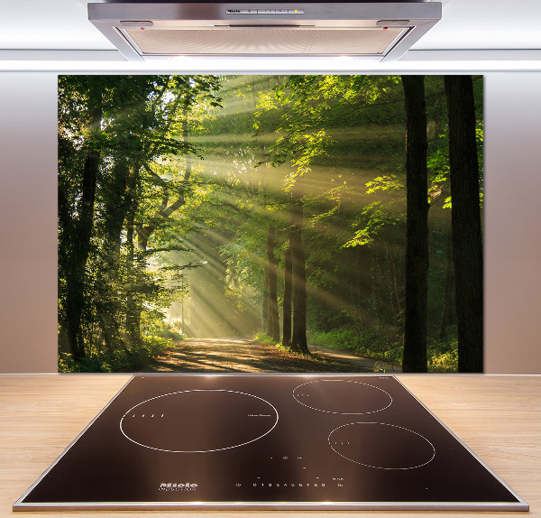 Keuken achterwand Bos in de zon