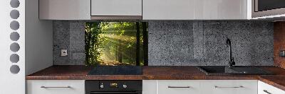 Keuken achterwand Bos in de zon
