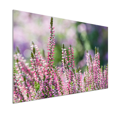 Achterwand keuken Heidebloemen