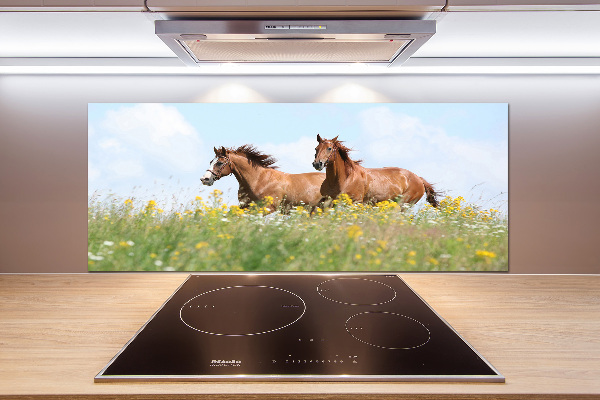 Keuken achterwand Twee paarden in galop