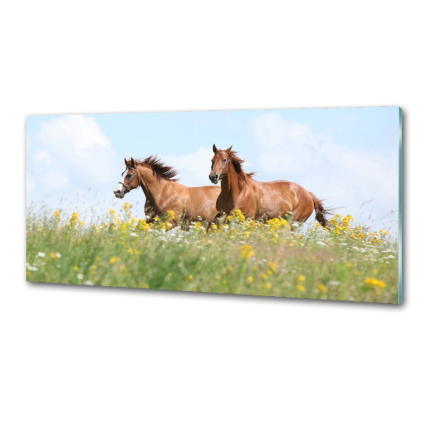Panel lacobel Dwa konie w galopie