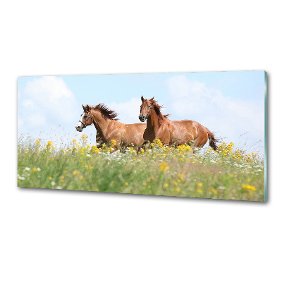 Keuken achterwand Twee paarden in galop