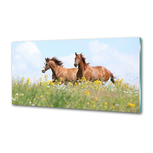 Panel lacobel Dwa konie w galopie