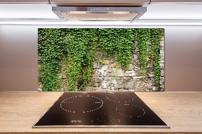 Spatscherm keuken Groene klimop