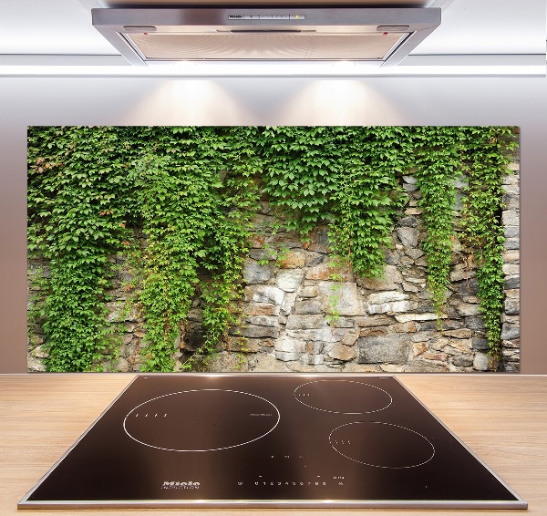 Spatscherm keuken Groene klimop