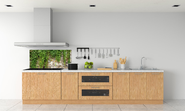 Spatscherm keuken Groene klimop