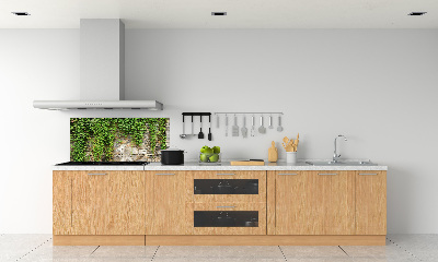 Spatscherm keuken Groene klimop
