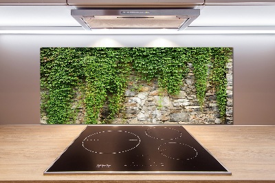 Spatscherm keuken Groene klimop