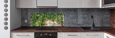 Spatscherm keuken Groene klimop