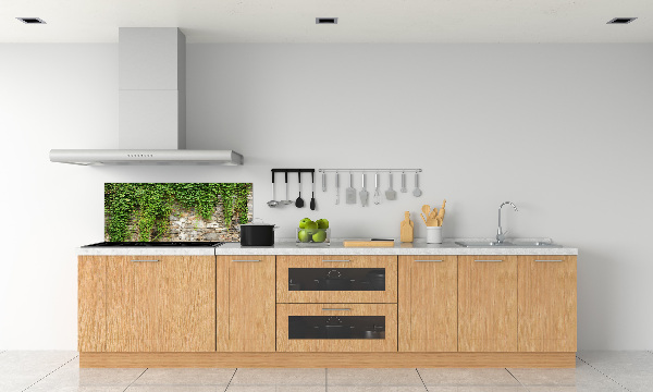 Spatscherm keuken Groene klimop