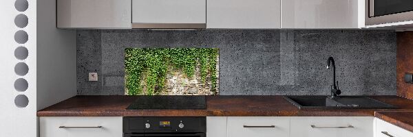 Spatscherm keuken Groene klimop