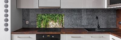 Spatscherm keuken Groene klimop