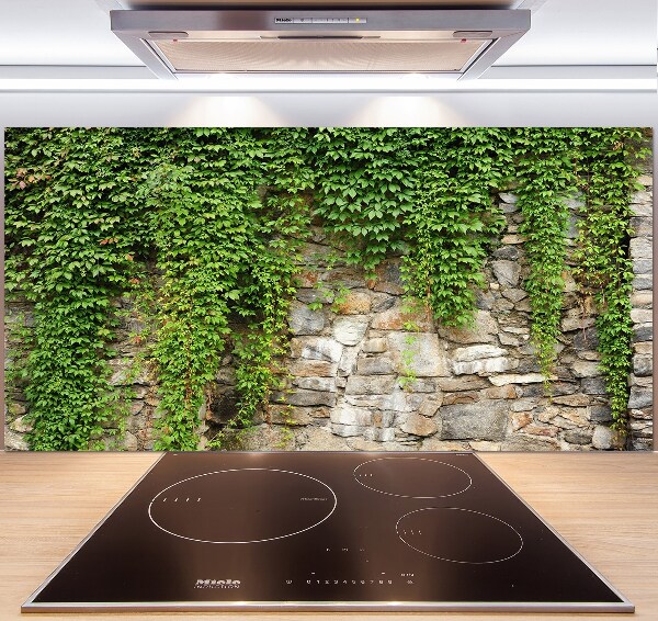 Spatscherm keuken Groene klimop