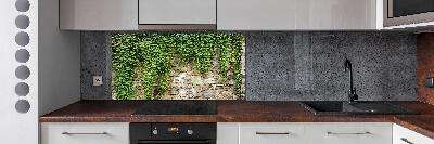 Spatscherm keuken Groene klimop
