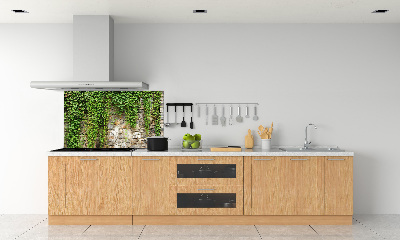 Spatscherm keuken Groene klimop