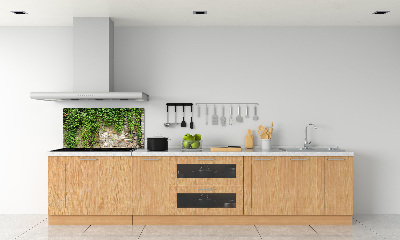 Spatscherm keuken Groene klimop