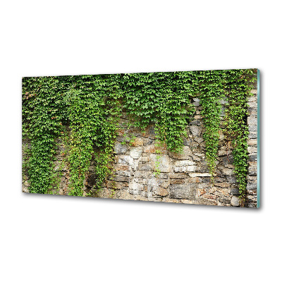 Panel do kuchni Zielony bluszcz