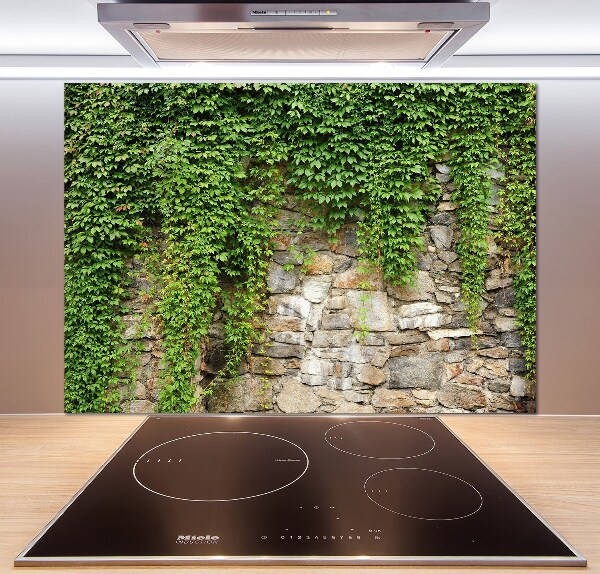 Spatscherm keuken Groene klimop
