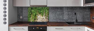 Spatscherm keuken Groene klimop