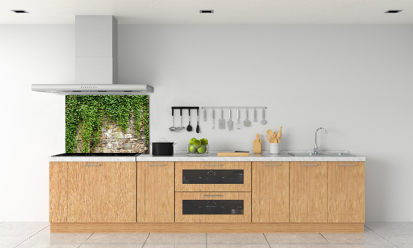 Spatscherm keuken Groene klimop