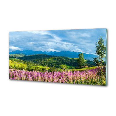 Keuken achterwand Lavendel in de bergen
