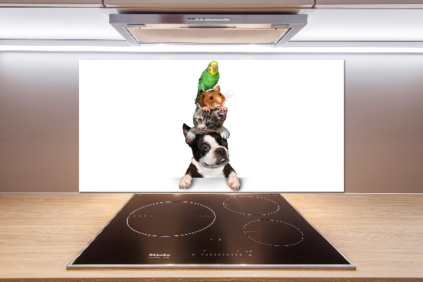 Achterwand keuken Een groep dieren