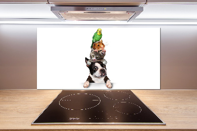 Achterwand keuken Een groep dieren