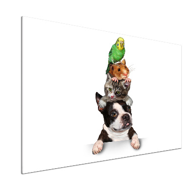 Achterwand keuken Een groep dieren