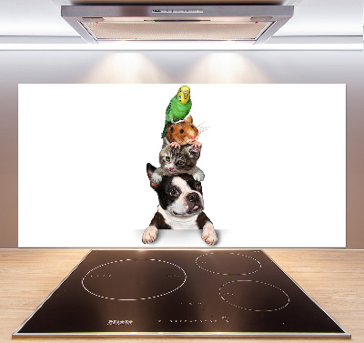 Achterwand keuken Een groep dieren