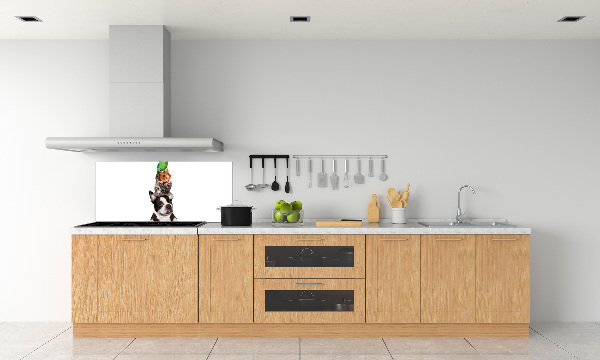 Achterwand keuken Een groep dieren