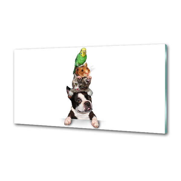 Panel do kuchni Grupa zwierząt