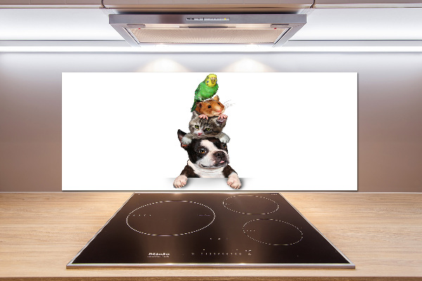 Achterwand keuken Een groep dieren