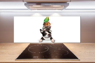 Achterwand keuken Een groep dieren