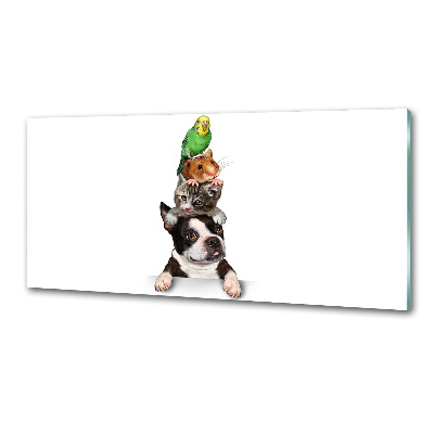 Panel do kuchni Grupa zwierząt