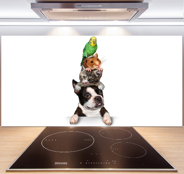 Achterwand keuken Een groep dieren