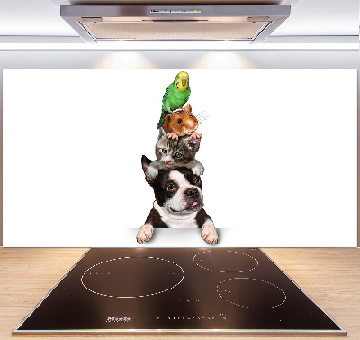 Achterwand keuken Een groep dieren