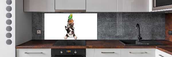 Achterwand keuken Een groep dieren