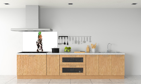 Achterwand keuken Een groep dieren