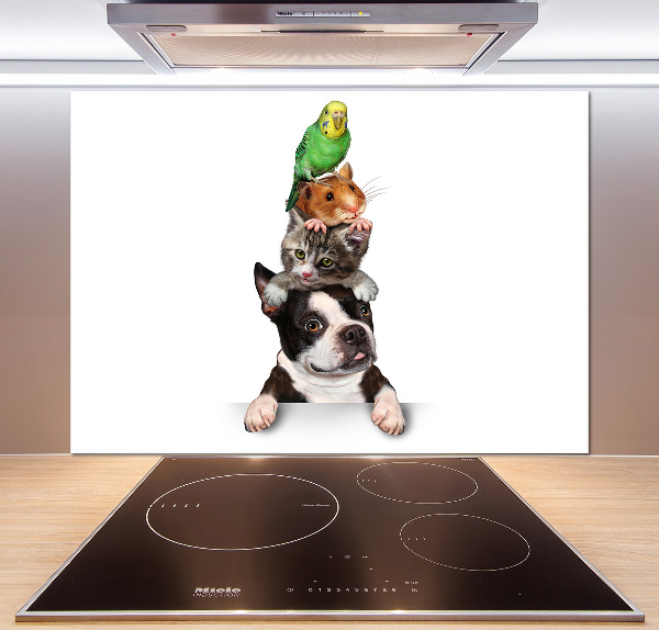 Achterwand keuken Een groep dieren