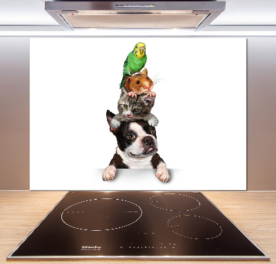 Achterwand keuken Een groep dieren