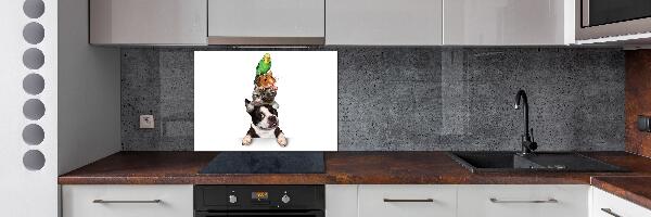 Achterwand keuken Een groep dieren