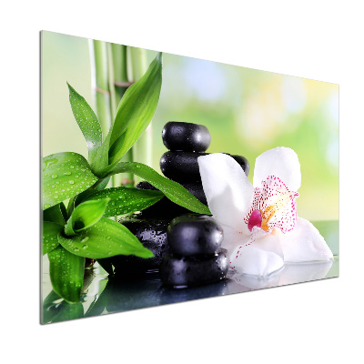 Glazen achterwand keuken Orchidee