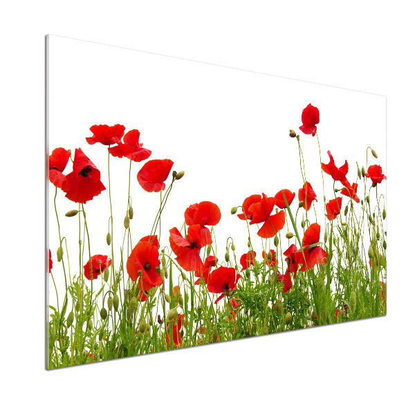 Panel szklany do kuchni Maki