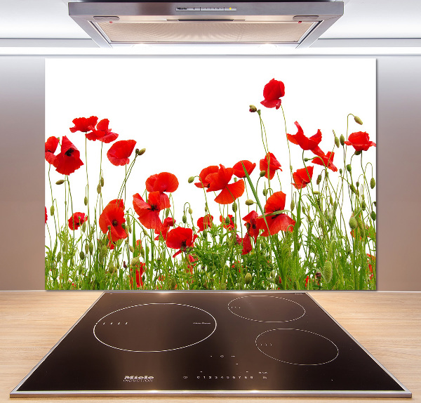 Achterwand keuken Klaprozen